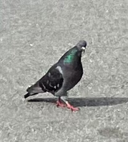 San Francisco